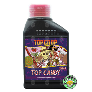TOP CANDY